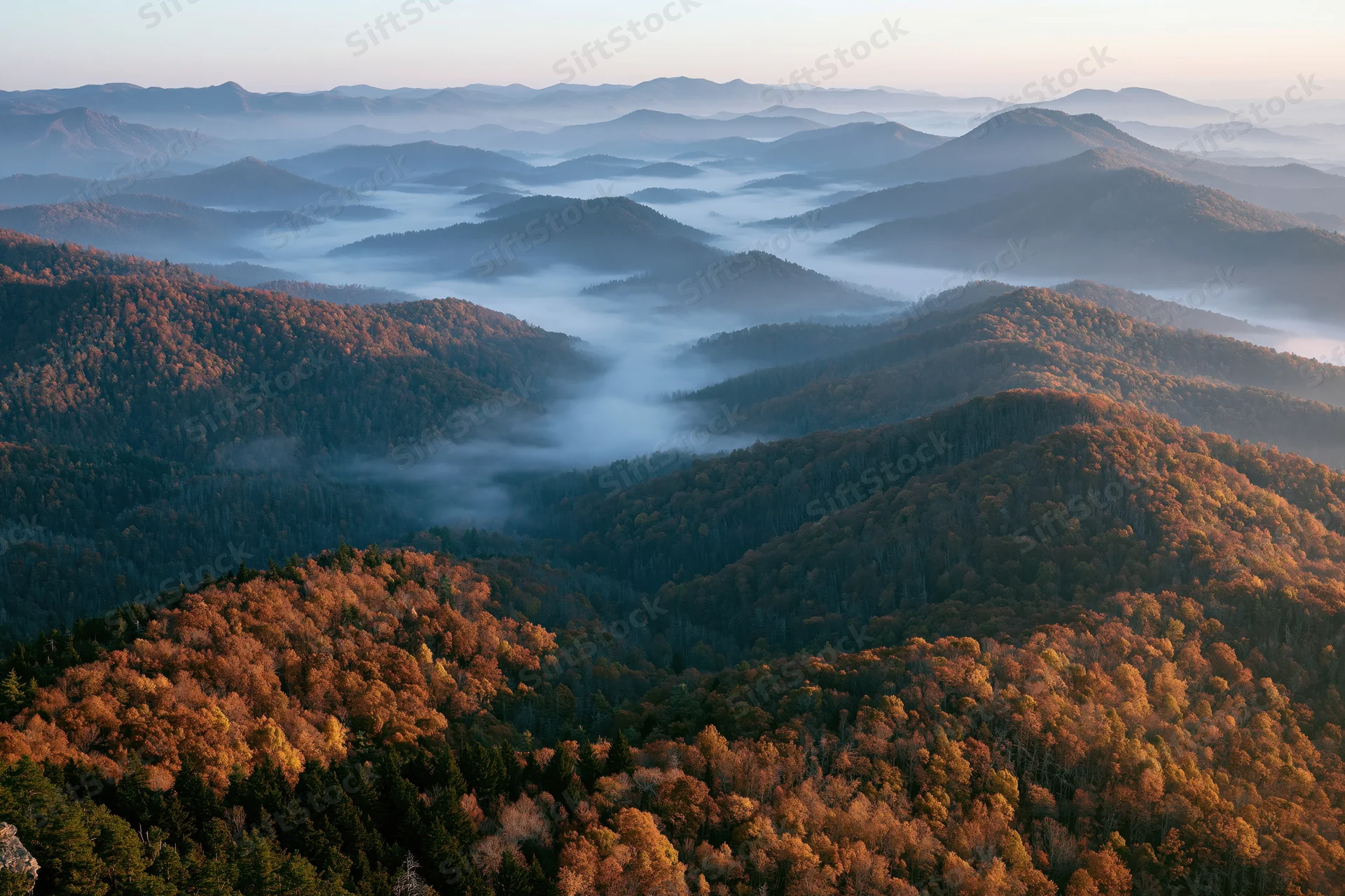 Layered forested mountain ridges receding into misty valleys under morning light