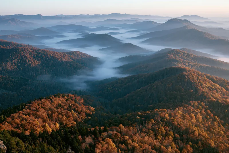Layered forested mountain ridges receding into misty valleys under morning light