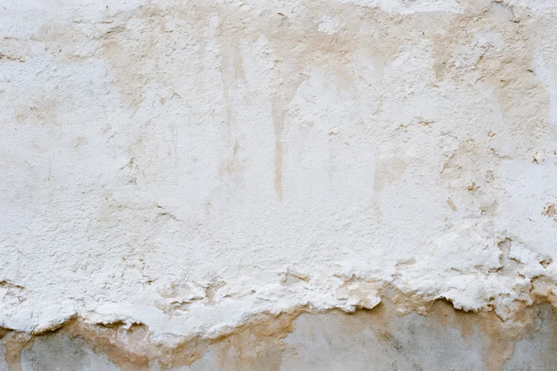 Aged plaster wall surface with flaking texture and moisture stains filling the frame