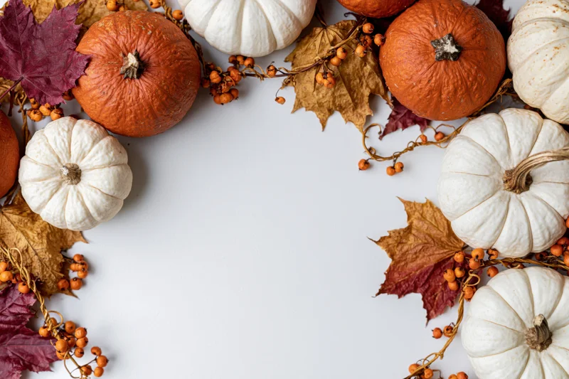 Autumn flat lay arrangement of orange and white pumpkins, dried maple leaves, and berries on white background with copyspace