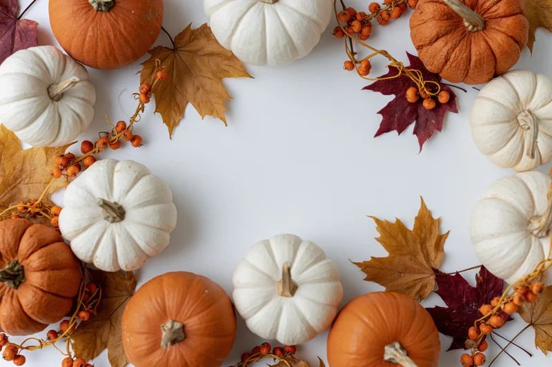 Autumn flat lay arrangement of orange and white pumpkins with dried leaves and berries on white surface
