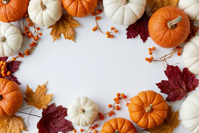 Autumn flat lay arrangement of orange and white pumpkins and dried leaves forming a border on white surface with copyspace