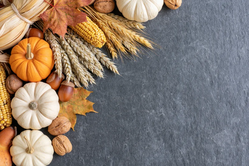 Autumn harvest arrangement with pumpkins, corn, wheat, and leaves along the left edge of a dark slate surface