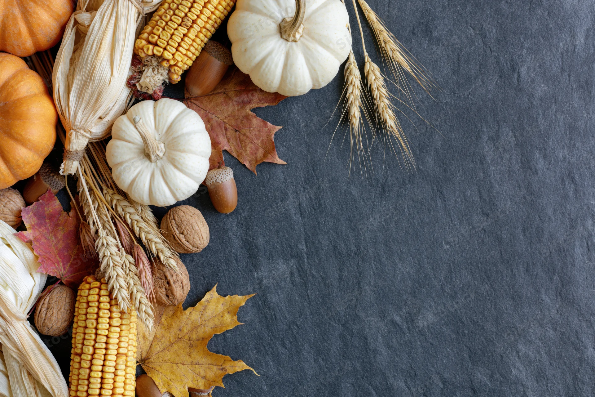 Autumn harvest arrangement along left edge of dark slate surface with copyspace