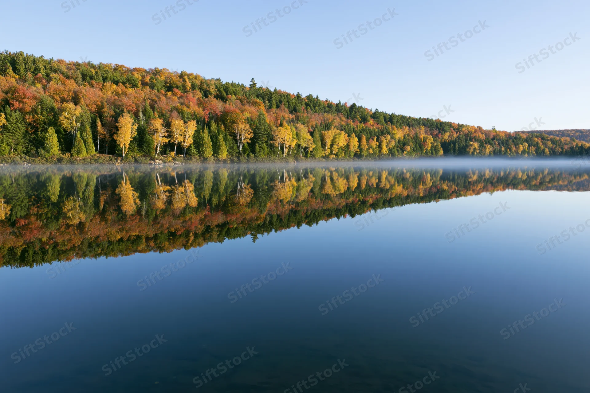 Calm lake reflecting dense hillside forest in peak autumn colors