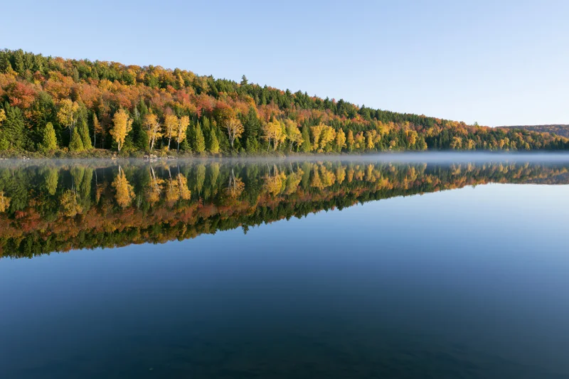 Calm lake reflecting dense hillside forest in peak autumn colors