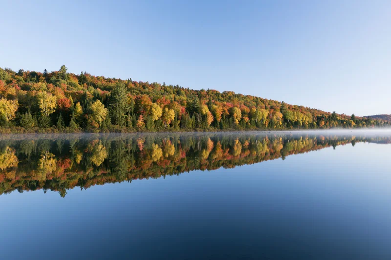 Calm lake reflecting dense hillside forest in peak autumn colors