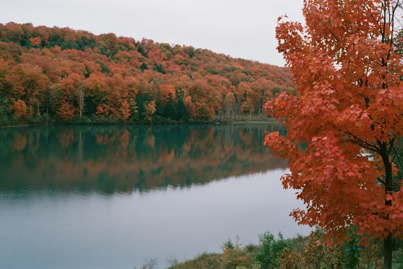 Calm lake reflecting dense hillside forest in peak autumn foliage