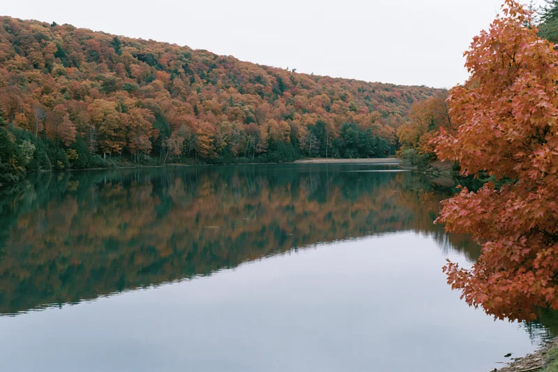 Calm lake reflecting dense hillside forest in peak autumn foliage