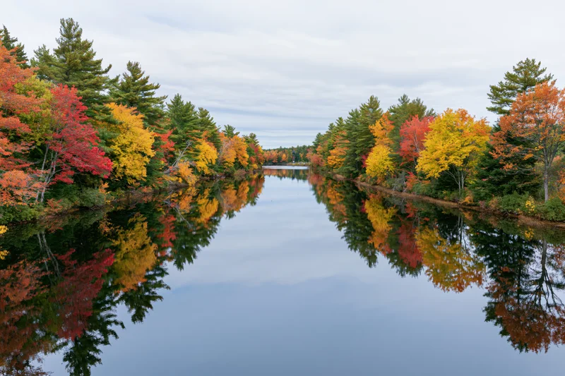 Calm river reflecting autumn foliage along its banks in New England