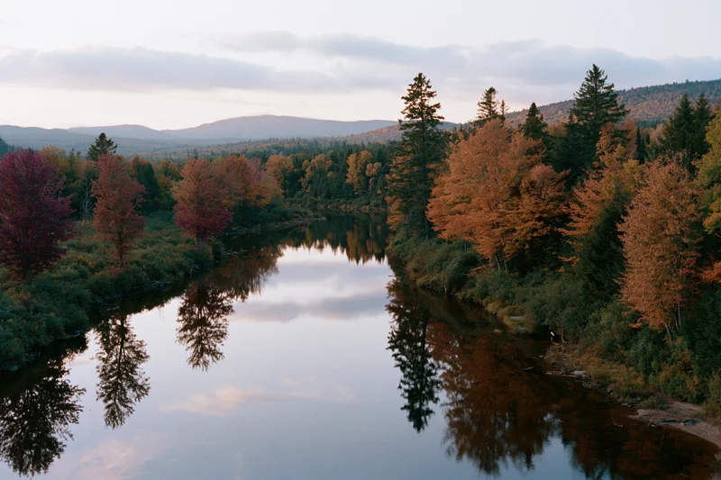 Calm river reflecting autumn trees in a mixed forest landscape