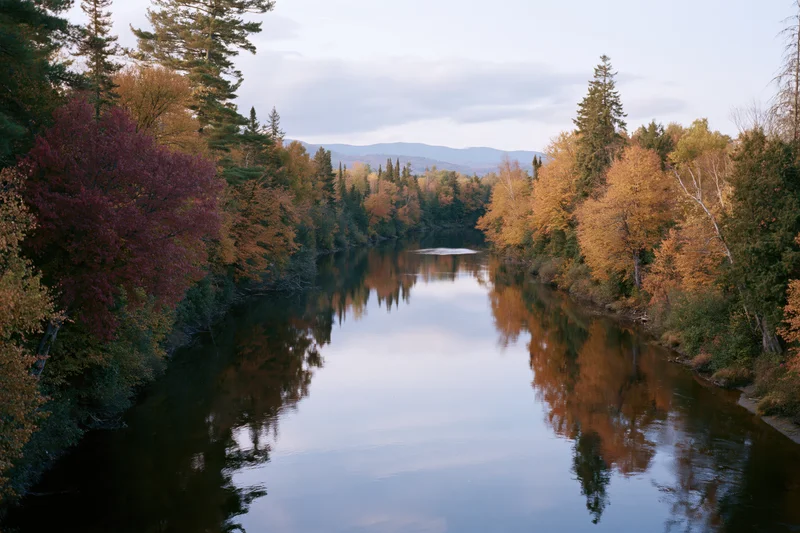 Calm river reflecting autumn trees in mixed forest landscape