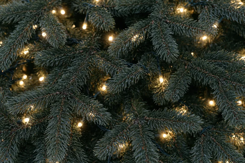 Dense evergreen christmas tree branches with warm string lights filling the frame