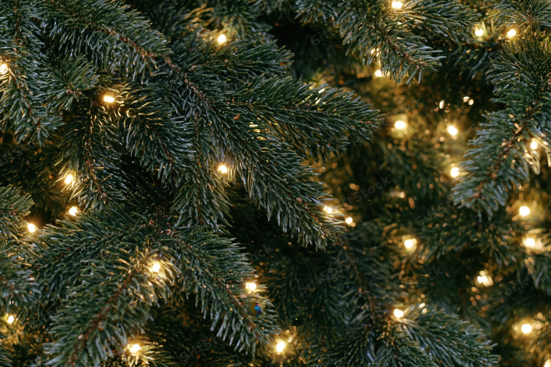 Close-up of dense evergreen christmas tree branches with warm glowing lights filling the frame