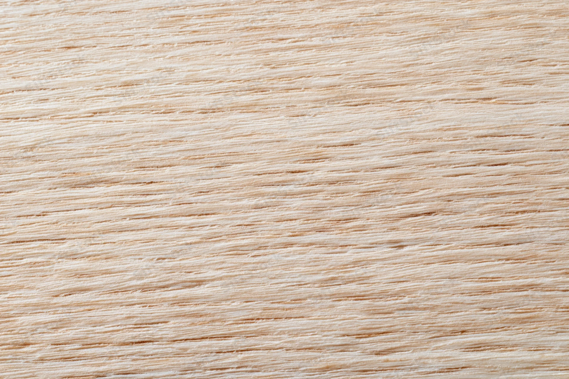 Close-up flat lay of a light blonde wood surface with fine straight grain pattern
