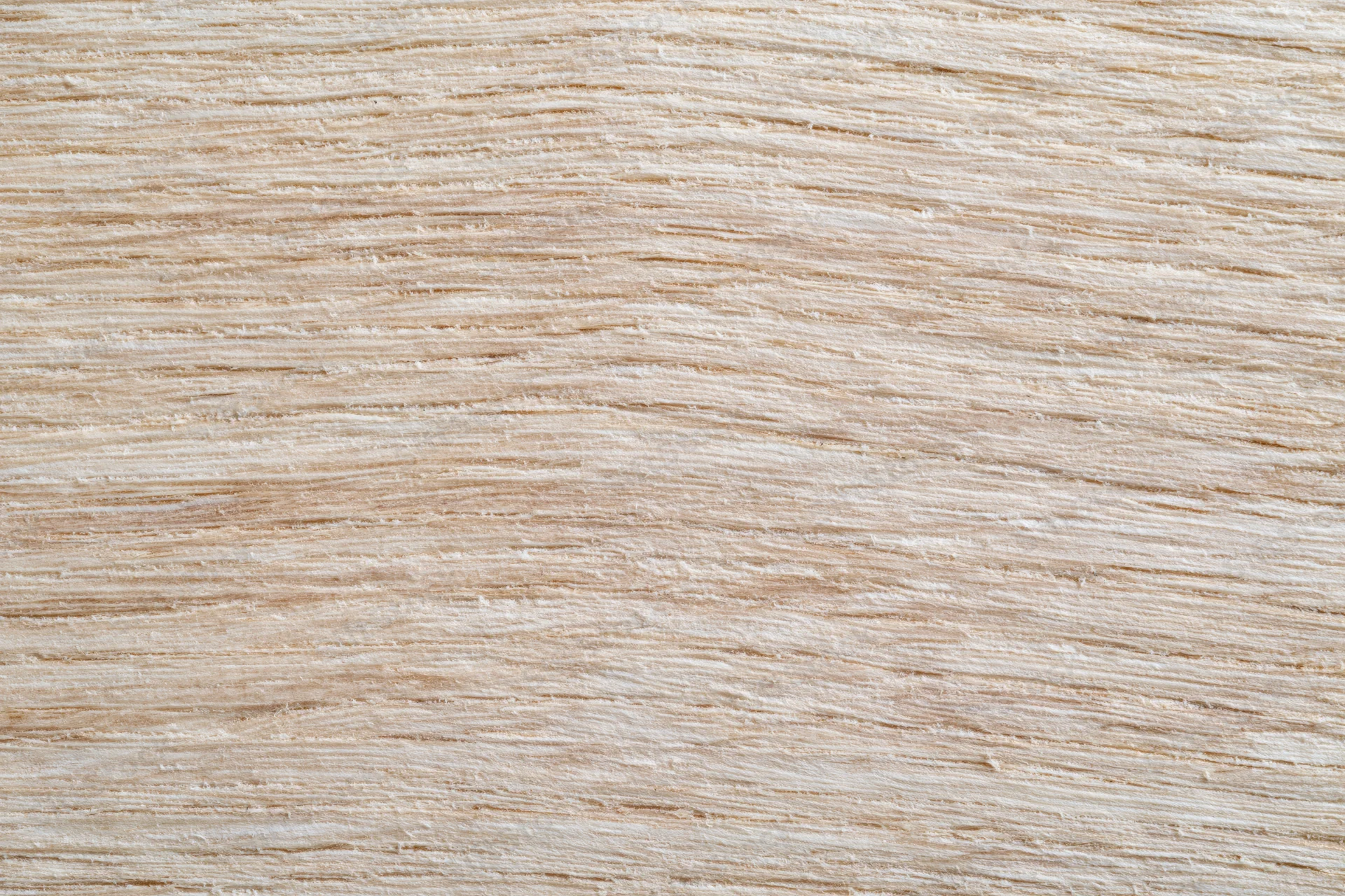 Close-up flat lay of light oak wood surface with horizontal grain pattern