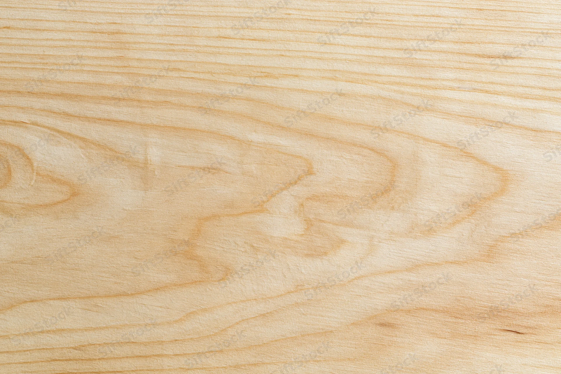 Close-up flat lay of a pale birch wood surface filling the frame