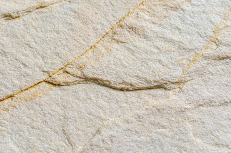 Close-up of a smooth sandstone surface with natural cracks and veins