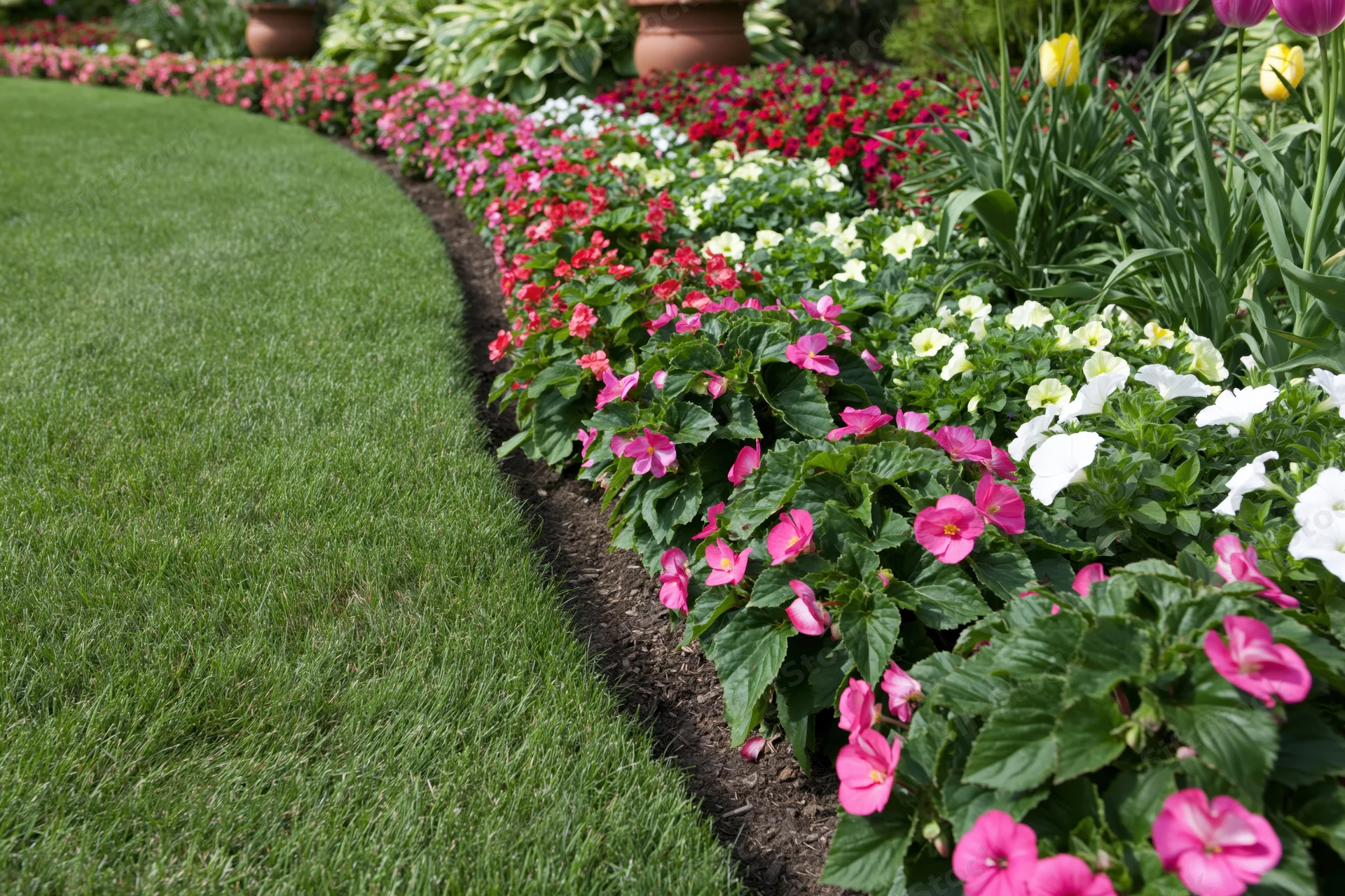 Curved green lawn bordered by colorful flowerbeds in a landscaped garden