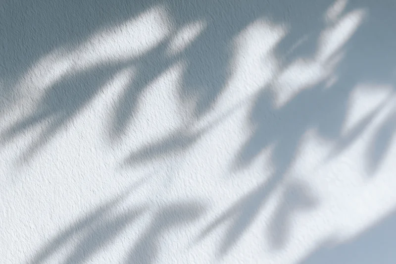 Dappled leaf shadows cast across a plain white wall surface