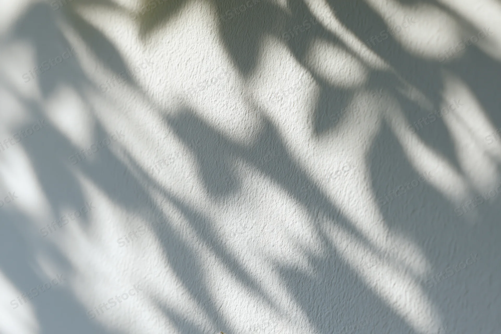 Dappled leaf shadows cast across a plain white wall surface
