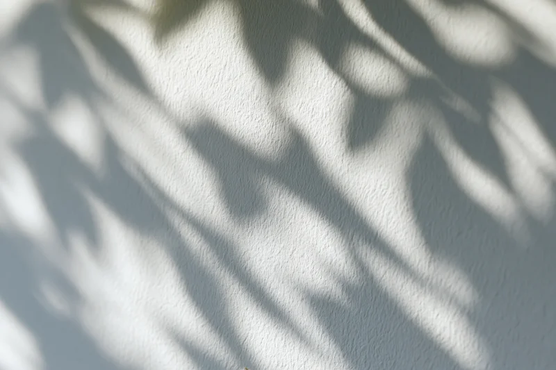Dappled leaf shadows cast across a plain white wall surface