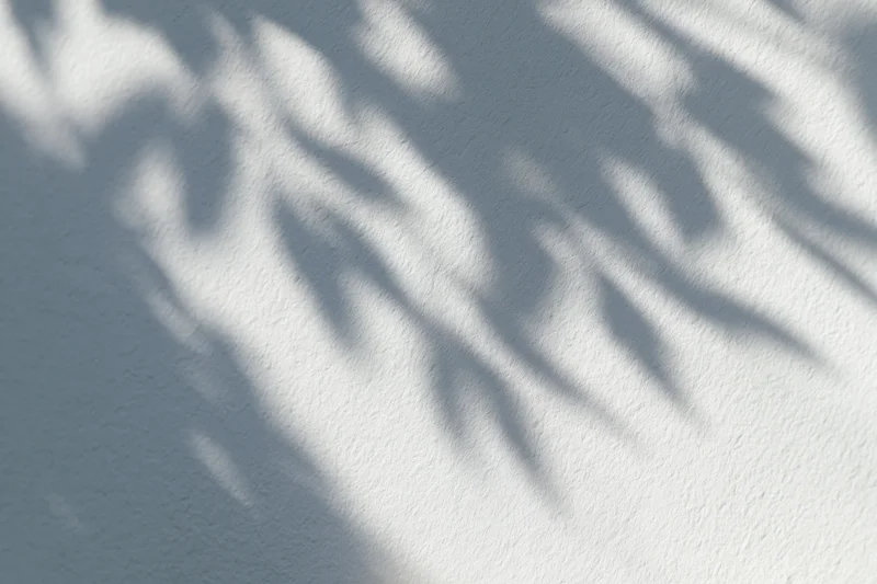 Dappled leaf shadows cast across a plain white wall surface