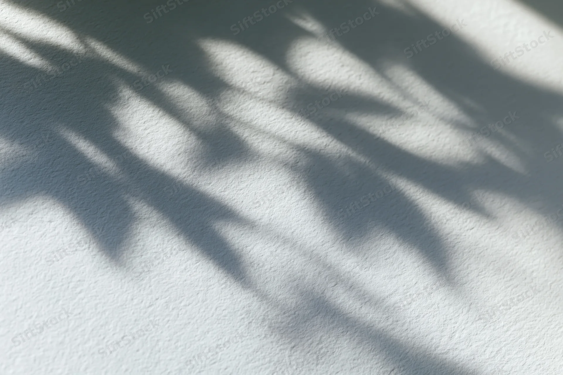 Dappled leaf shadows cast across a plain white wall surface
