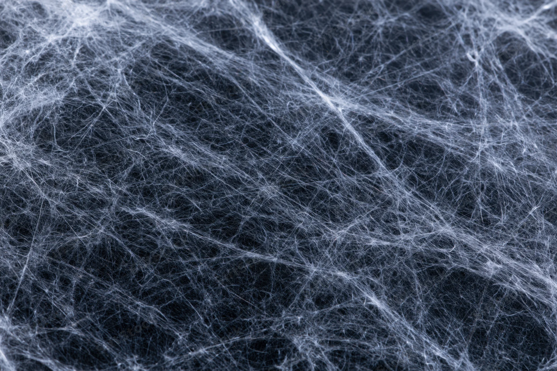 Dense layered spider webs spread across a flat dark surface