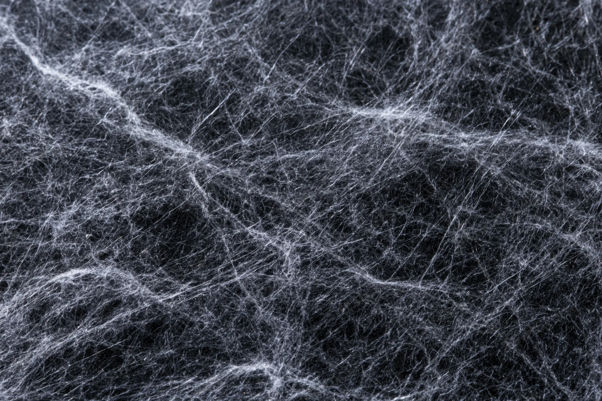 Dense layered spider webs spread across a flat dark surface