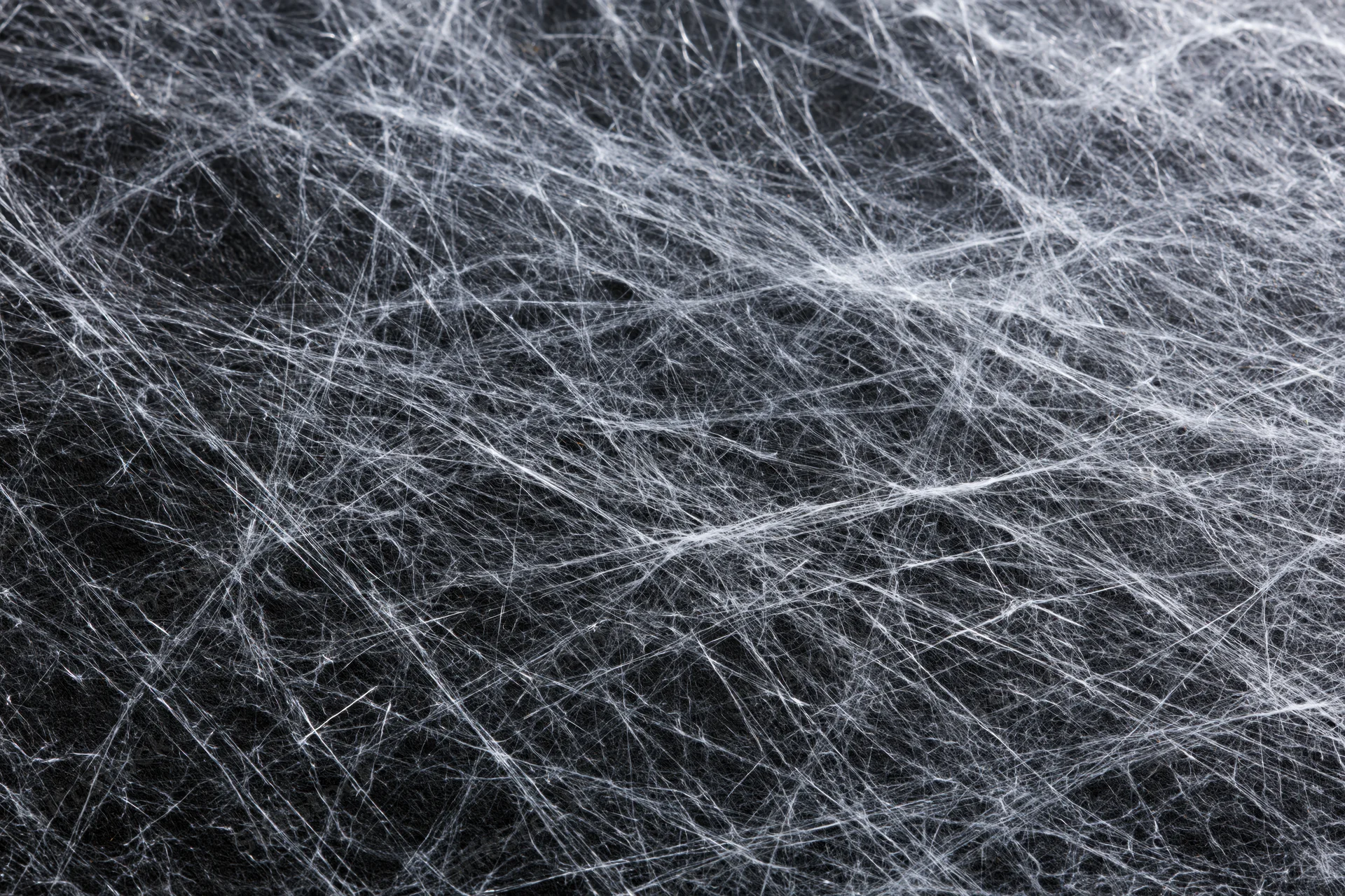 Dense layered spider webs spread across a flat dark surface