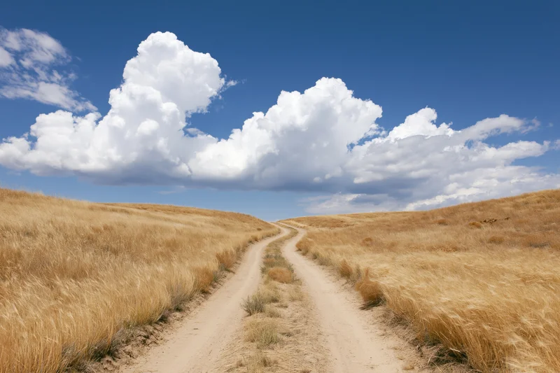 Winding dirt road through dry golden grassland hills under blue sky with white clouds