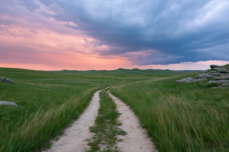 Dirt two-track trail winding through rolling green grassland at sunset