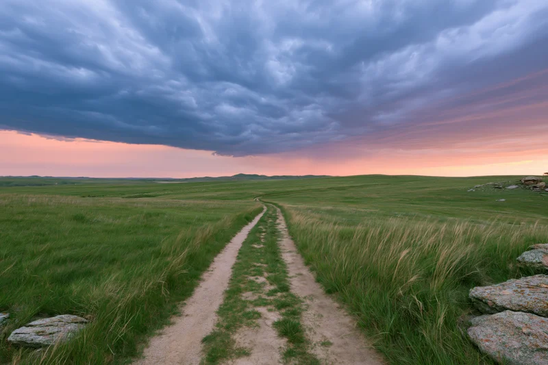 Dirt two-track trail winding through rolling green grassland under stormy sky at sunset