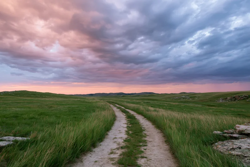 Dirt two-track trail winding through rolling green grassland at sunset