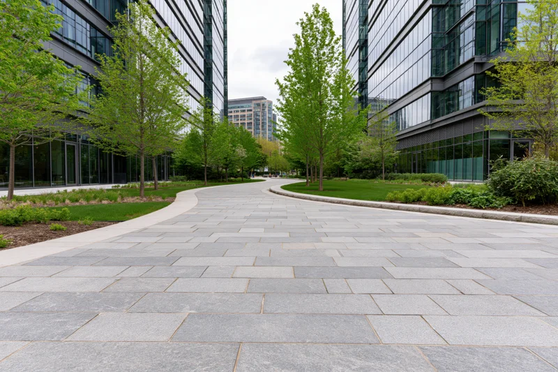 Curved stone-paved walkway winding between modern glass office buildings in an urban landscaped plaza