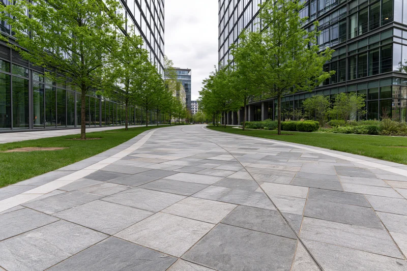 Curved stone-paved walkway winding between modern glass office buildings with trees and green lawns on either side