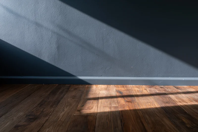 Empty interior room with dark charcoal matte wall and hardwood floor showing sunlight and shadows