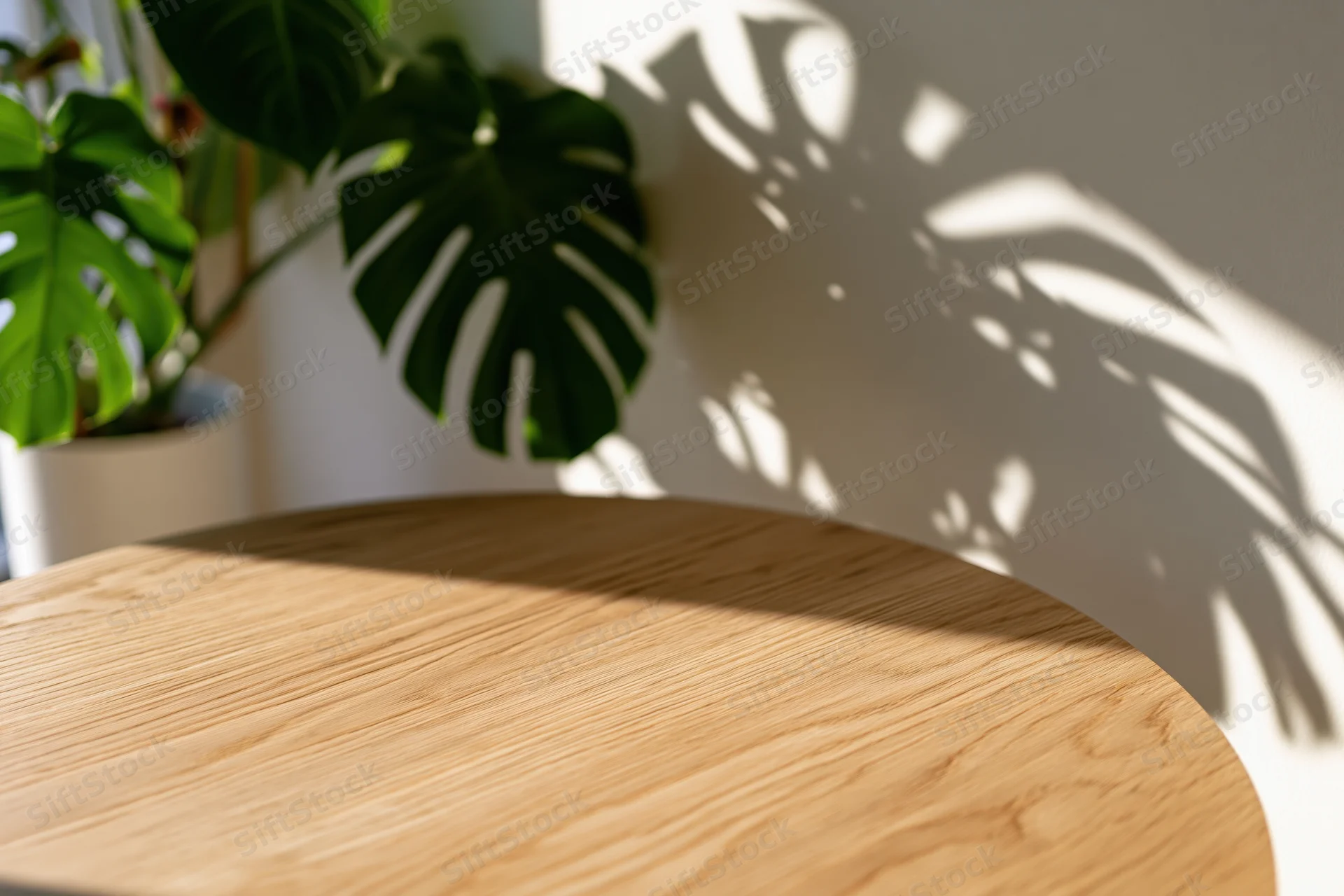 Round oak table in foreground with monstera plant casting leaf shadows on white wall