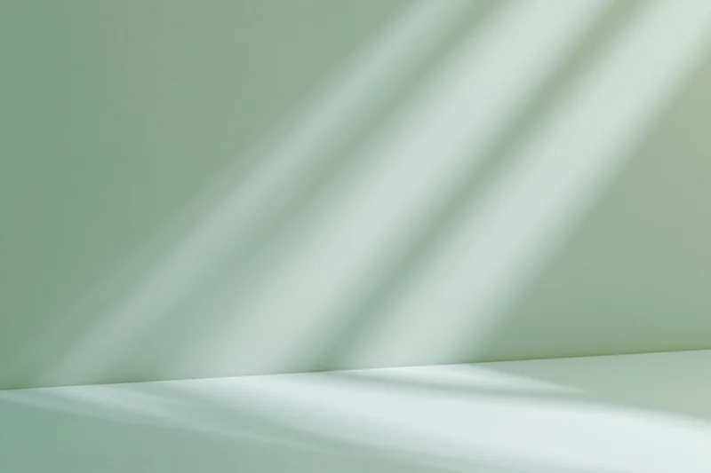Seamless sage green studio backdrop with diagonal light shadows on wall and floor