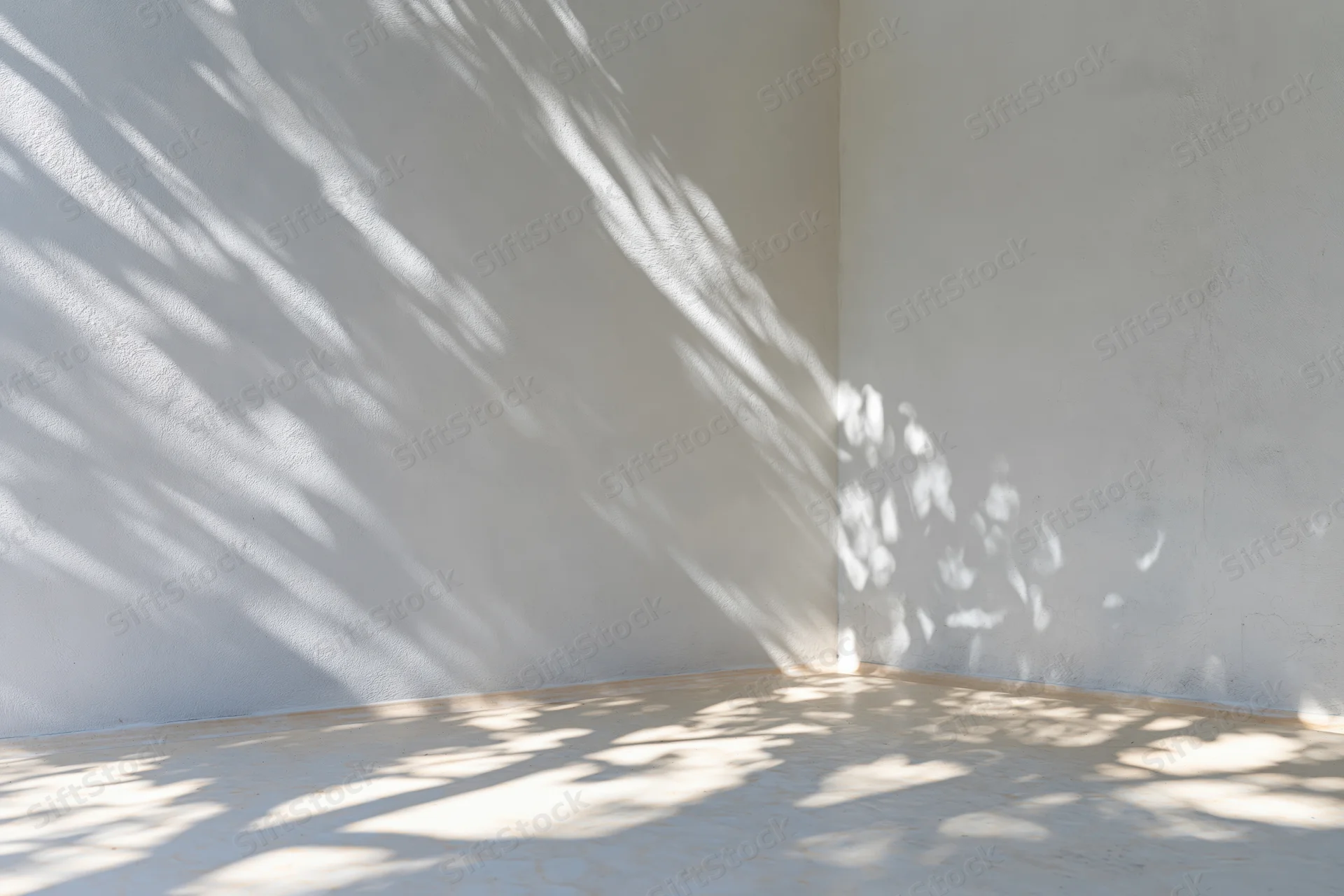Empty white room with leaf shadows on concrete walls and floor from sunlight