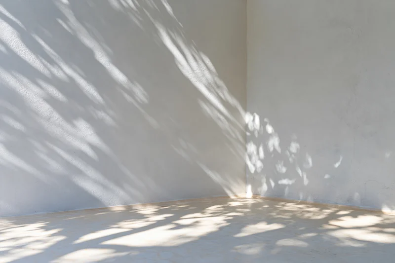 Empty white room with leaf shadows on concrete walls and floor from sunlight