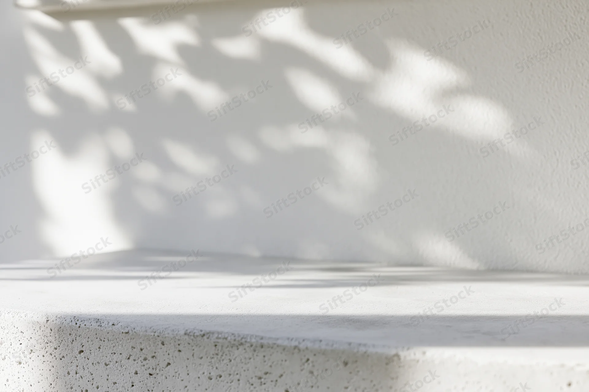 White concrete surface with dappled leaf shadows on a plain wall outdoors
