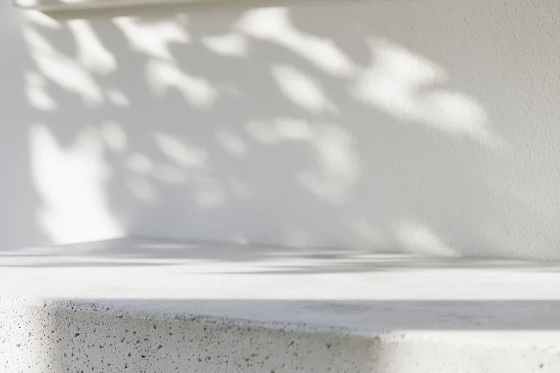 White concrete surface with dappled leaf shadows on a plain wall outdoors