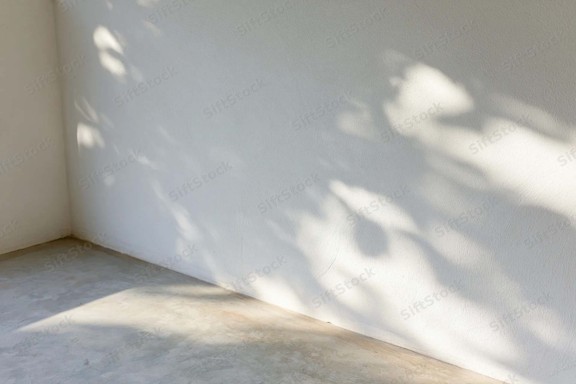 White plaster wall meeting pale concrete floor in corner with dappled sunlight and leaf shadows