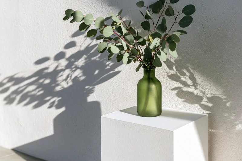 Eucalyptus branches in a green glass vase on a white display pedestal against a textured wall with sunlight casting shadows