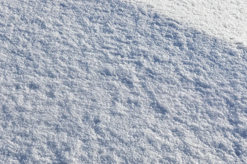 Flat expanse of fresh undisturbed snow covering the ground