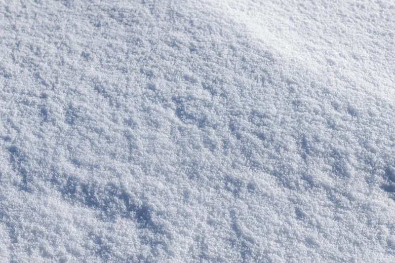 Flat expanse of fresh undisturbed snow covering the ground