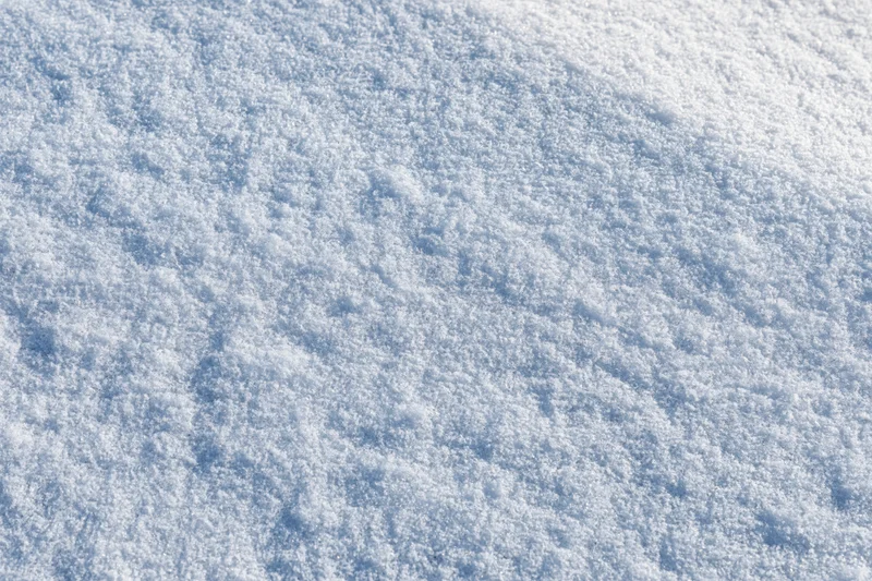 Flat expanse of fresh undisturbed snow covering the ground