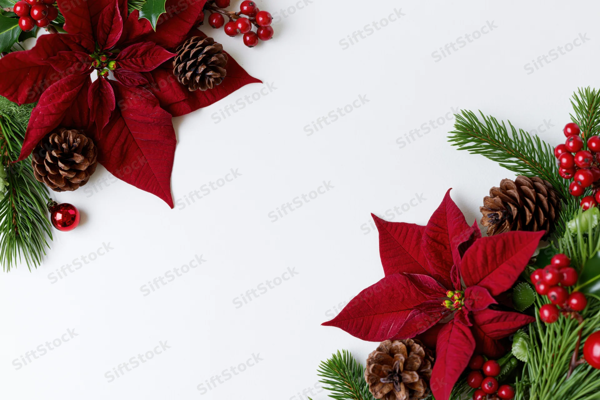 Red poinsettia and pine branch arrangement in corner border on white background